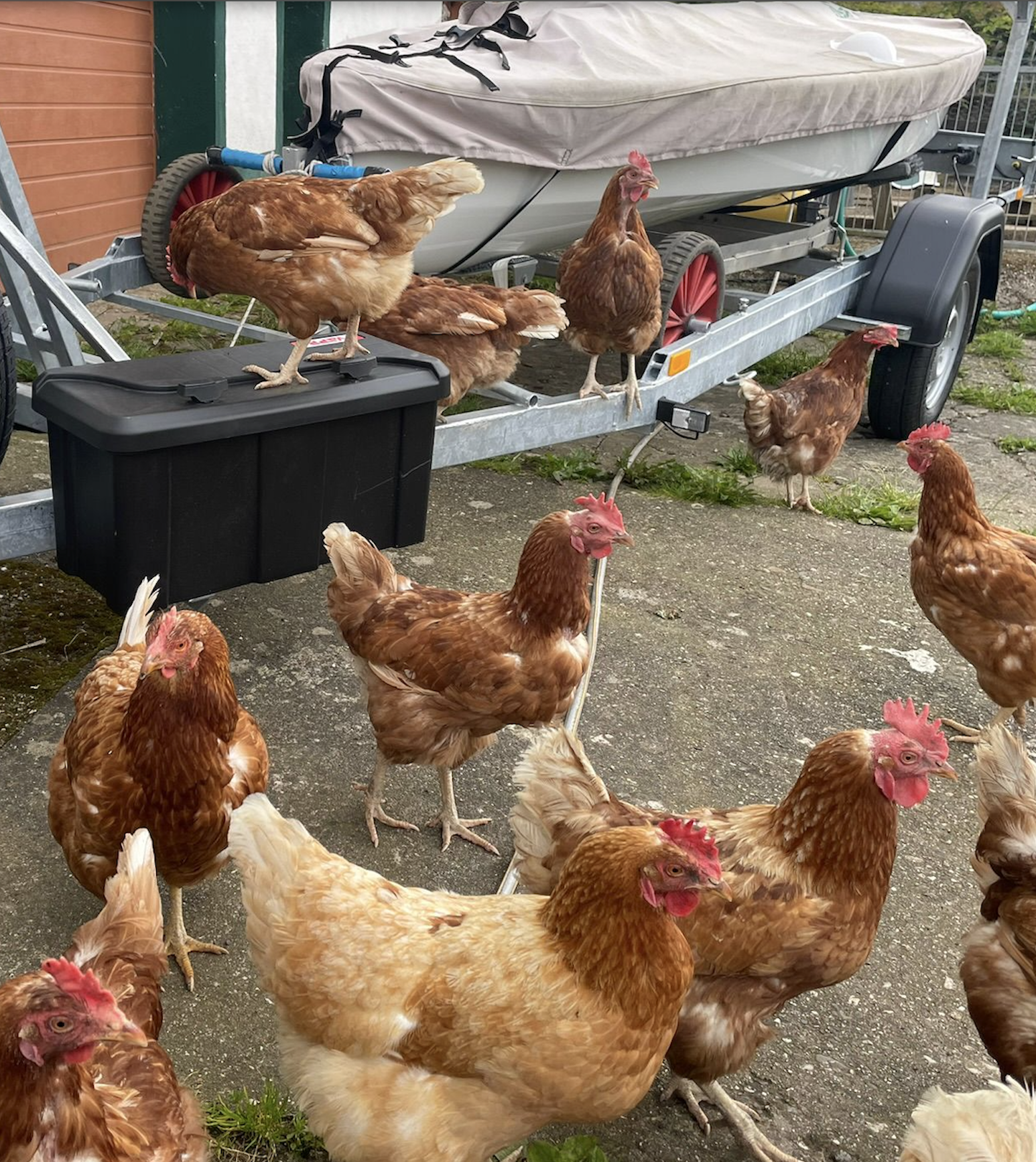 Bildschirm­foto 2025-10-19 um 13.57.27