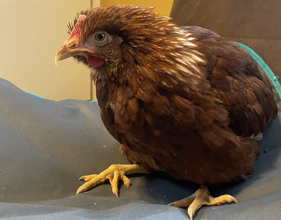 Bildschirm­foto 2025-10-19 um 15.27.23