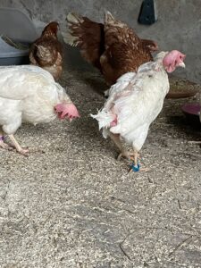 WhatsApp Image 2025-10-18 at 20.16.43