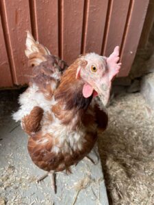 WhatsApp Image 2025-10-19 at 12.45.57