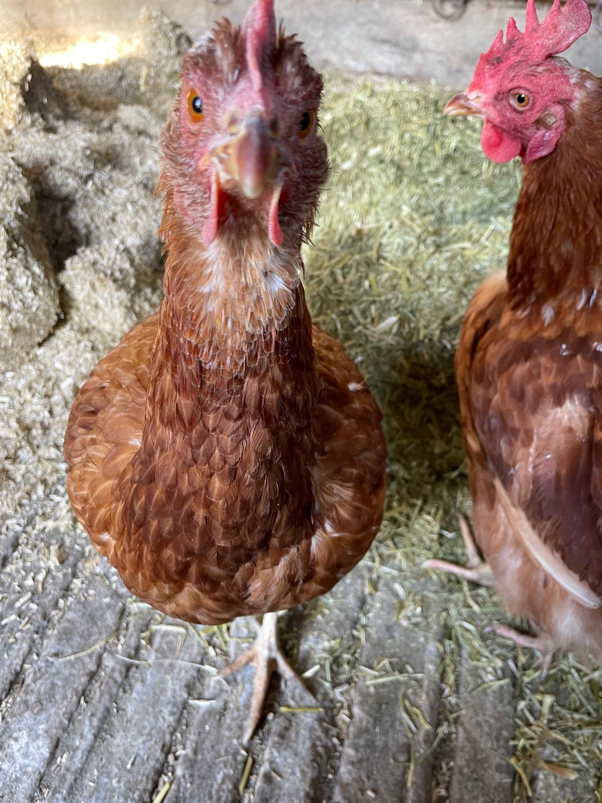 WhatsApp Image 2025-10-19 at 13.08.01 (4)