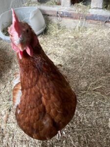 WhatsApp Image 2025-10-19 at 13.08.02