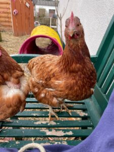 WhatsApp Image 2025-10-19 at 13.08.03 (1)