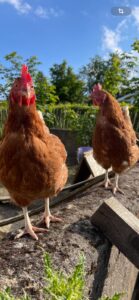 WhatsApp Image 2025-10-19 at 13.08.04 (2)