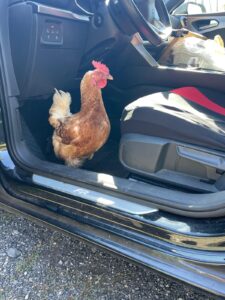 WhatsApp Image 2025-10-19 at 13.08.04 (3)