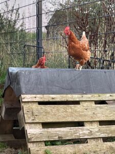 WhatsApp Image 2025-10-19 at 13.08.05 (4)