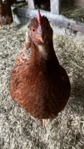 WhatsApp Image 2025-10-19 at 13.08.06 (5)