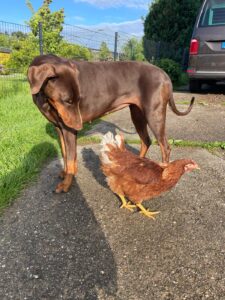 WhatsApp Image 2025-10-19 at 13.08.07