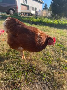 WhatsApp Image 2025-10-19 at 13.08.07 (3)