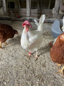 WhatsApp Image 2025-10-19 at 15.30.05 (3)